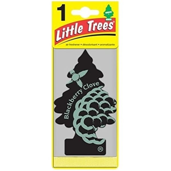 Little Trees 1's Blackberry Clove (Pack of 24)