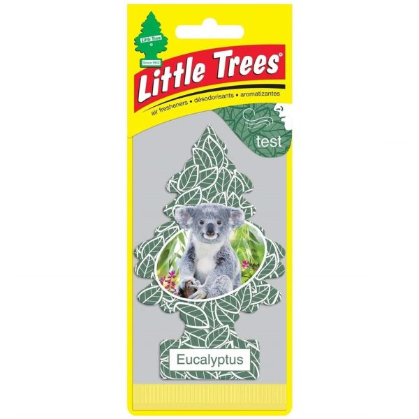 Little Trees 1's Eucalyptus (Pack of 24)