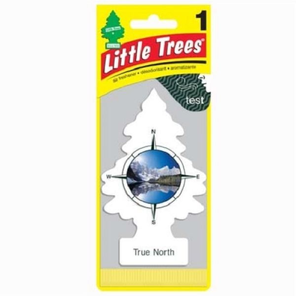 Little Trees 1's True North (Pack of 24)